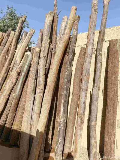 السلام عليكم ورحمه الله وبركاته يوجد جميع الانواع الاخشاب 3