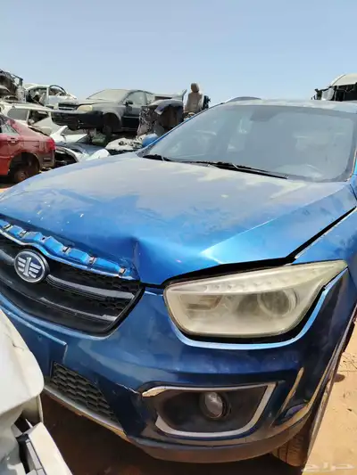 فاو x80 index