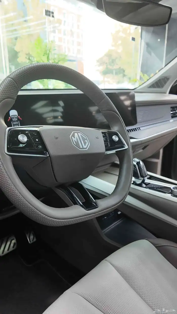 حماية السيارات 8