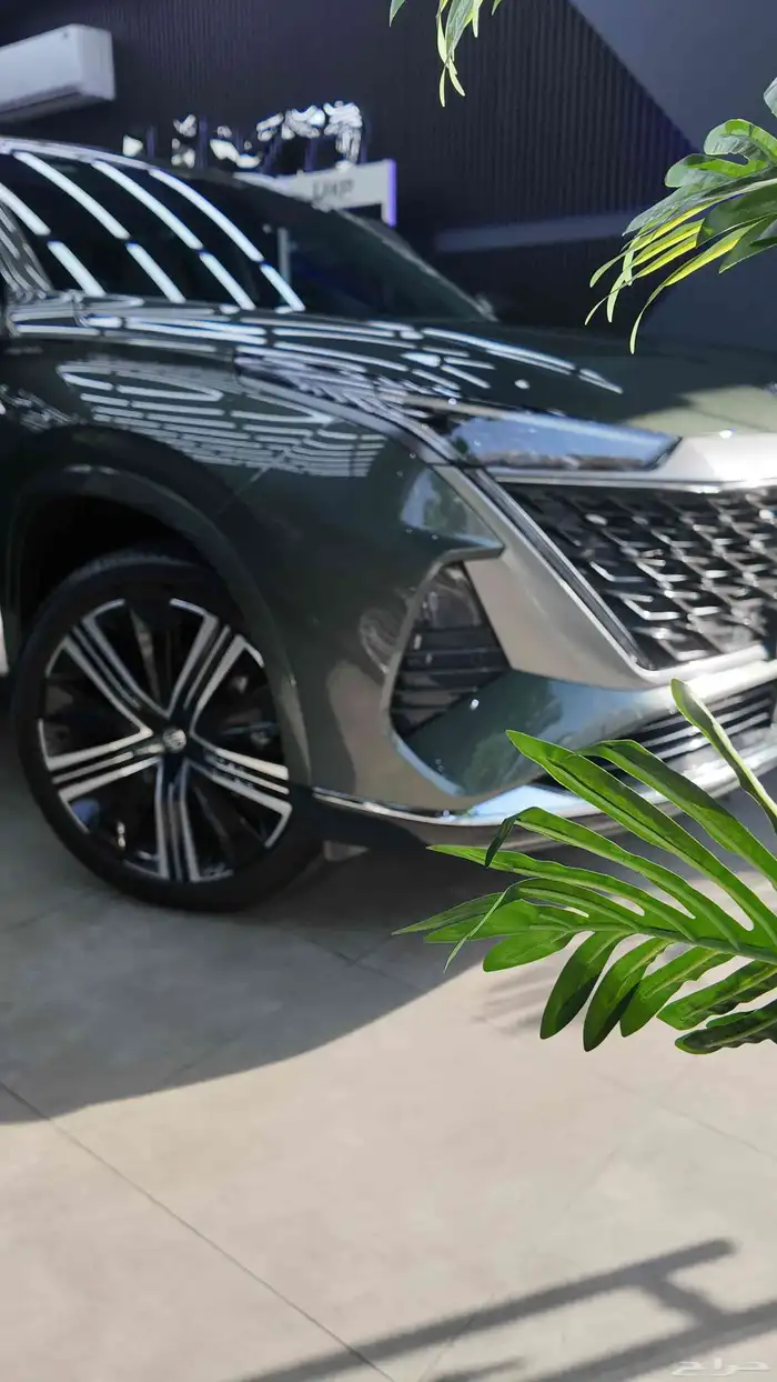 حماية السيارات 5