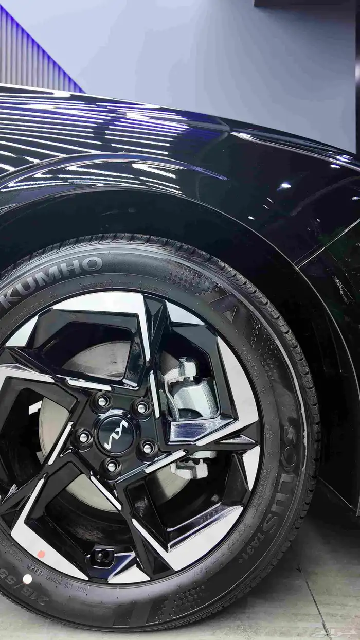 حماية السيارات 0