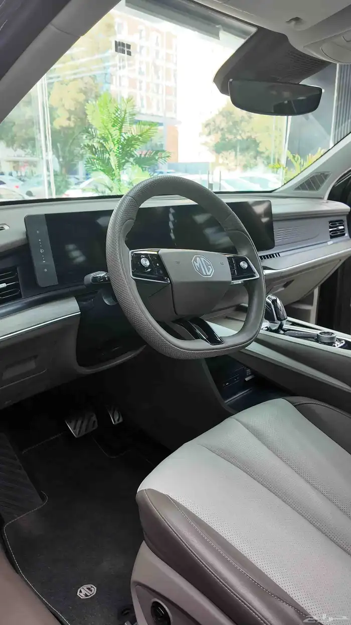 حماية السيارات 9