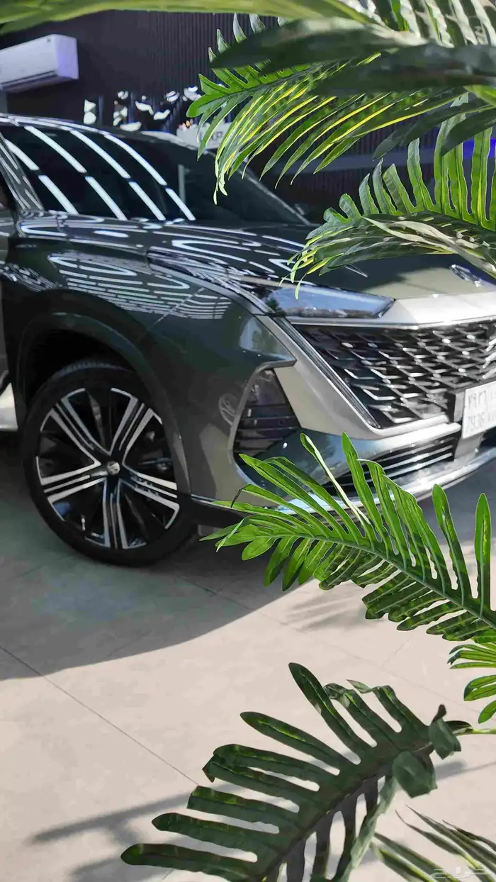 حماية السيارات 7