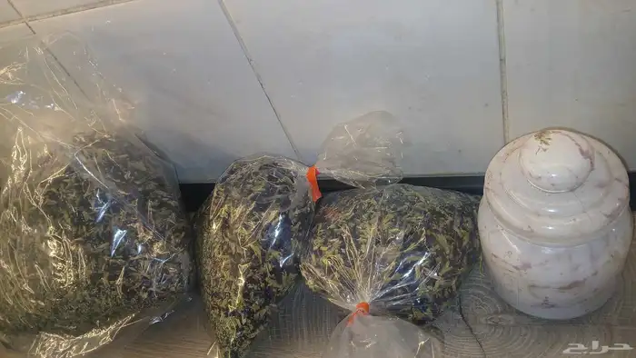 شاي ازرق بكج كامل 3اصناف ب 150 شاي ازرق عسل سدر صبار الوفيرا 13