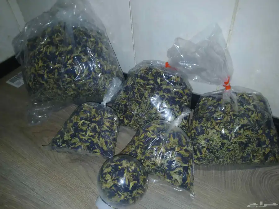شاي ازرق بكج كامل 3اصناف ب 150 شاي ازرق عسل سدر صبار الوفيرا 3