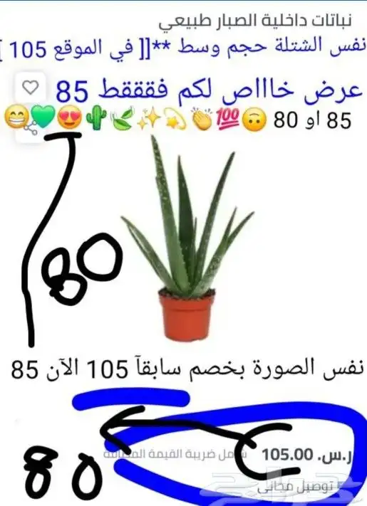 شاي ازرق بكج كامل 3اصناف ب 150 شاي ازرق عسل سدر صبار الوفيرا 8