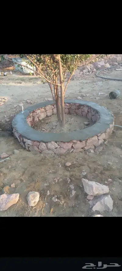 مباني حجر كبير وصغير ورا باريب قوائم معده 0