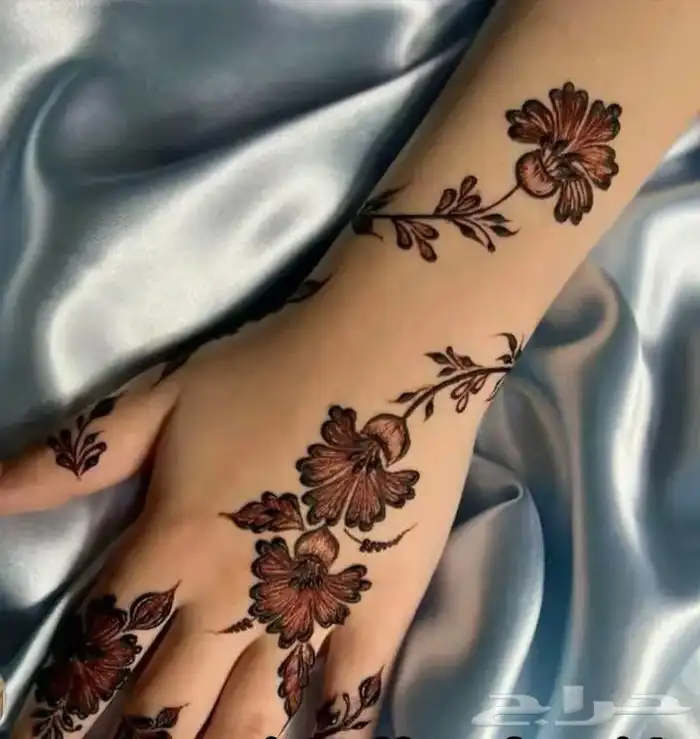 نقاشه ام أروى الرياض العرايس والعادي 2