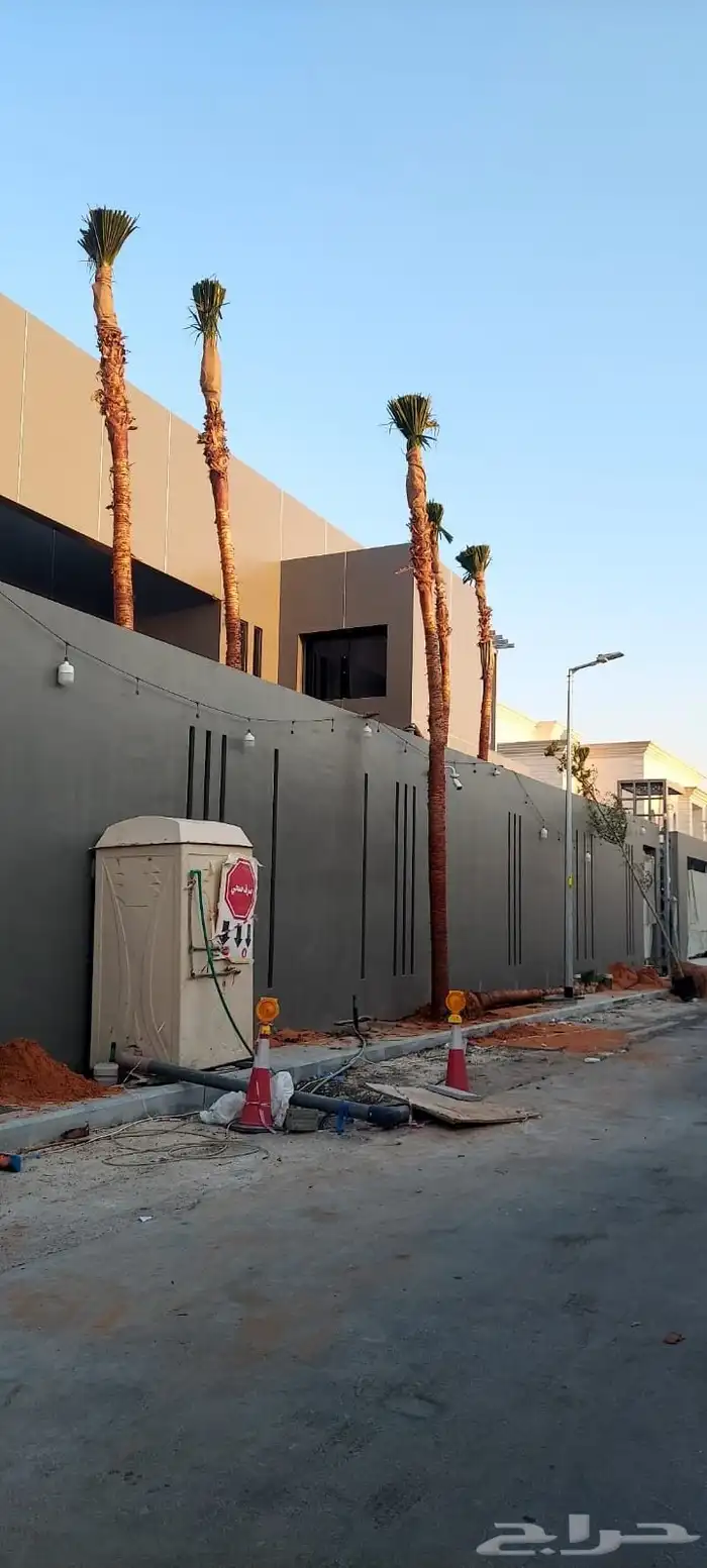 يوجد لدينا جميع انواع النخيل العربي وشنطني ج 3 050807466 0