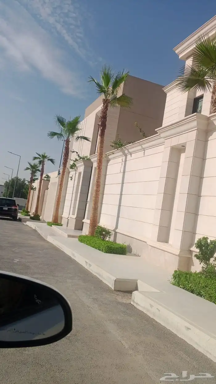 يوجد لدينا جميع انواع النخيل العربي وشنطني ج 3 050807466 1