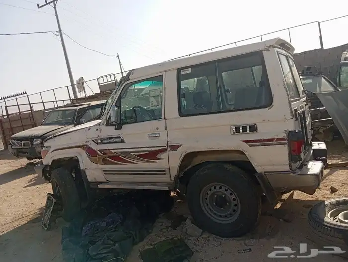 جيب ربع 2019 1