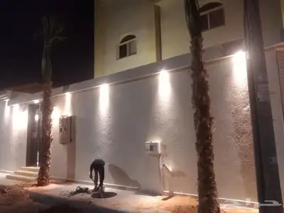 نخيل عربي واشنطني جميع المقاسات 9