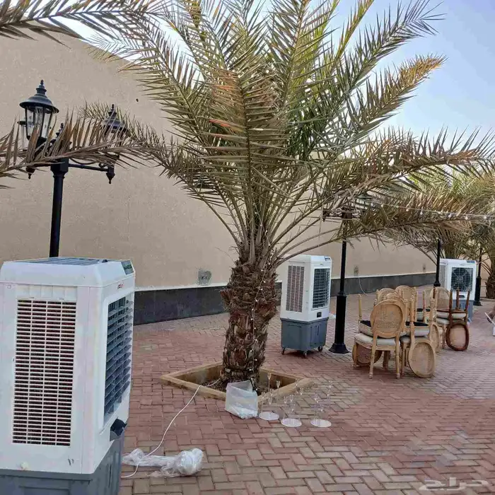 جلسات شعبية جلسات وناسه 4