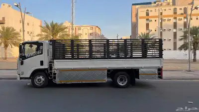 دينا دينة دينات 0
