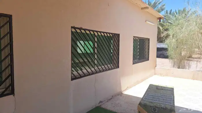 شغل دهانات 4