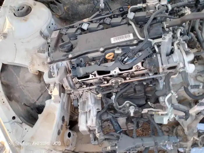 مكاين سيارات شد بلد 6