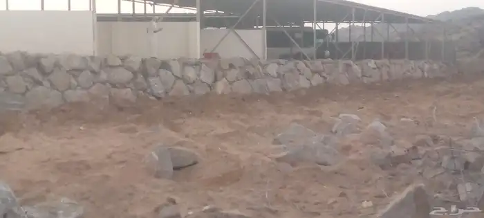معدات بجميع أنواعها وبناء الحجر الطبيعي 7