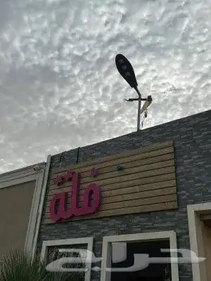 450 فقط في وسط الاسبوع 1