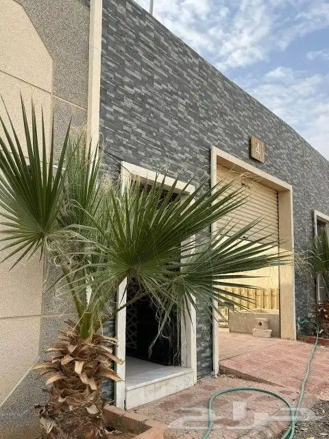 450 فقط في وسط الاسبوع 0