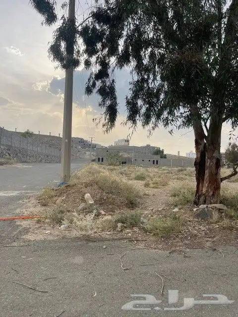 للبيع ست قطع 0