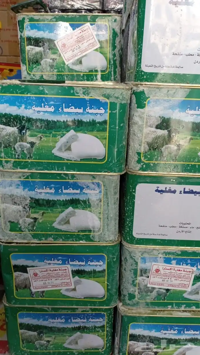 جبنه عرب مقليه 8