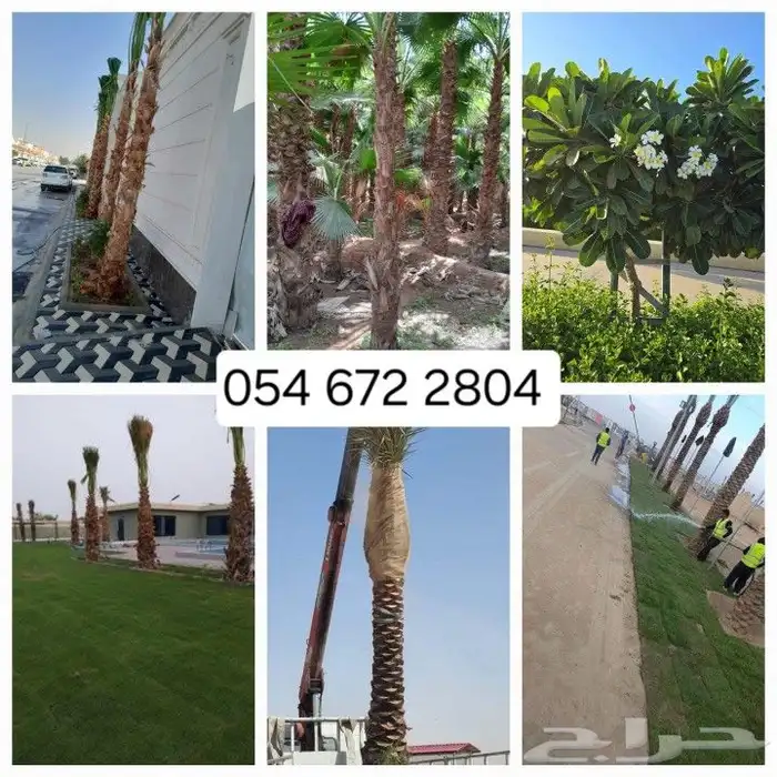 يوجد تيل طبيعي سعر المتر 10ريال 6