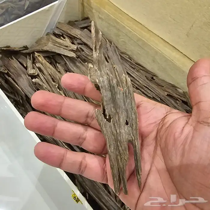 عود هندي فخم جدا 1
