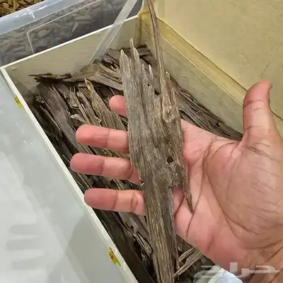 عود هندي فخم جدا 2