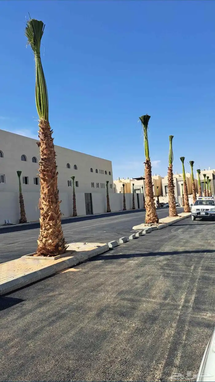 وشنطني زينه نخيل 4