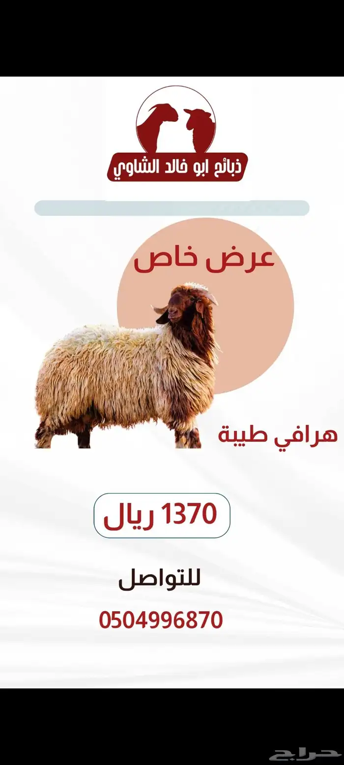 الظهران 0