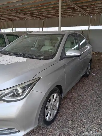 شانجان السفن 2021 1