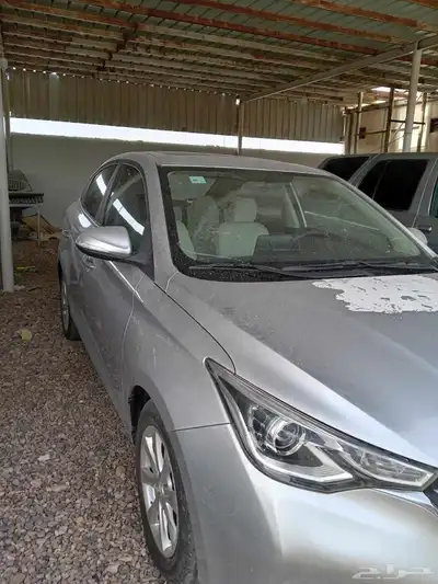 شانجان السفن 2021 2