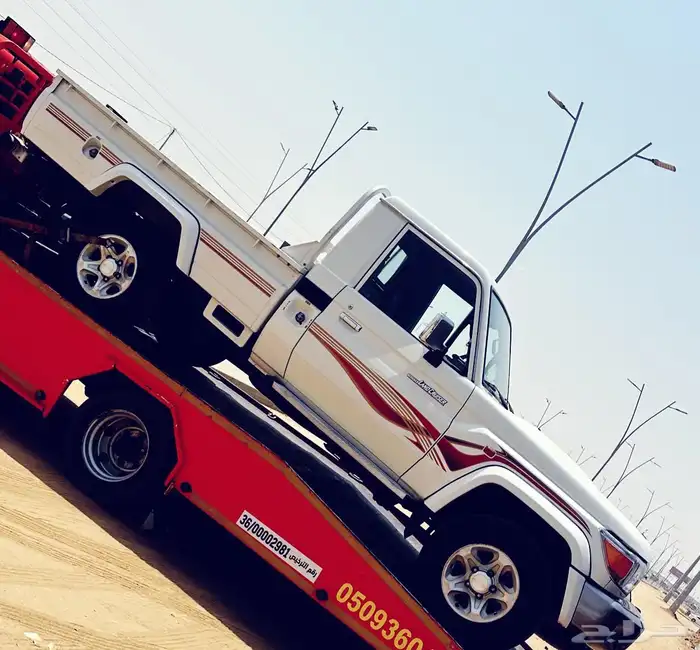 سطح القوز القنفيد 0