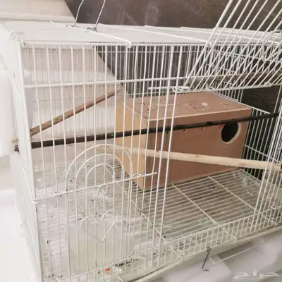 قفص طيور 4