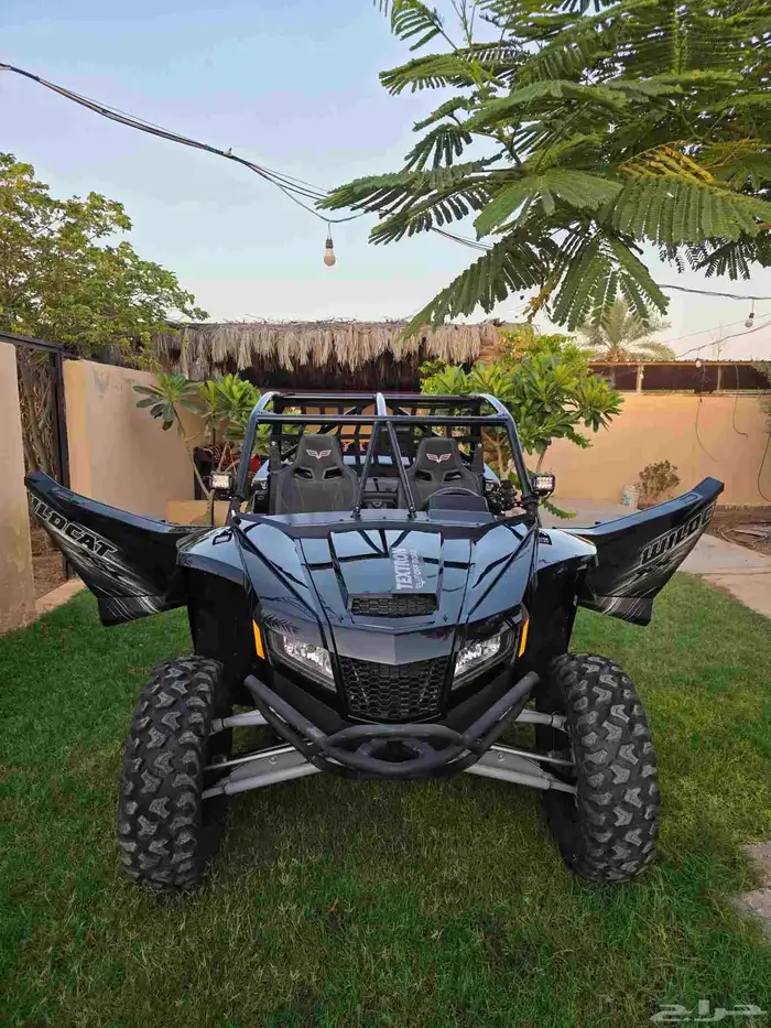 للبيع بقي Wildcat XX موديل 2019 استخدام خفيف 0
