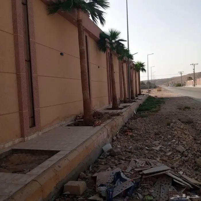 توريد وغرس النخل 3