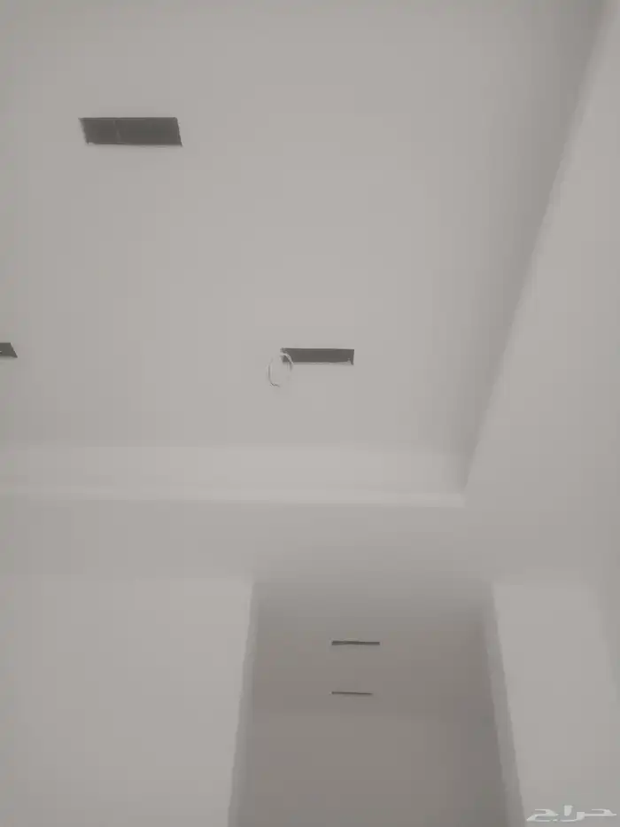 دھان بويات داخلي 3