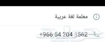 معلمة لغة عربية اونلاين 0