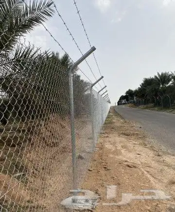 مقول شبوك في احنا المملكه 7