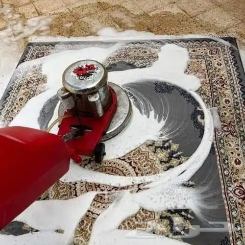شركة تنظيف مجالس مكيفات فلل خزانات رش مبيد حشري 6