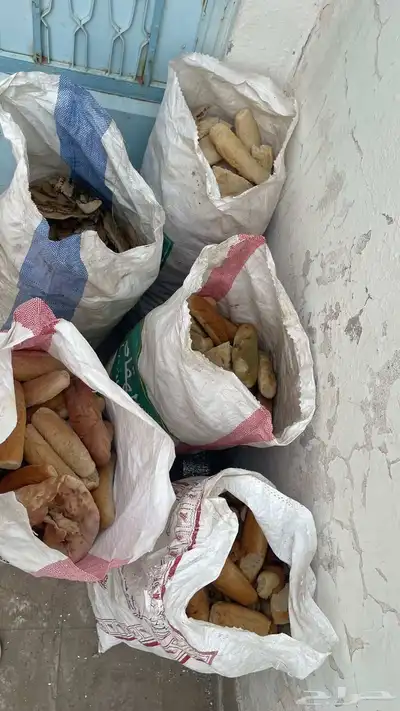 عيش ناشف للاغنام 0