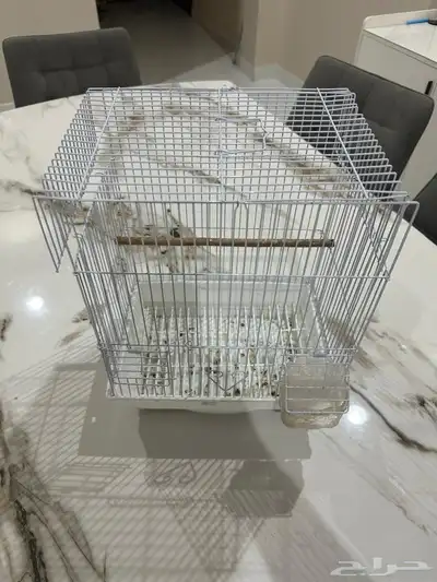 قفص طيور 3