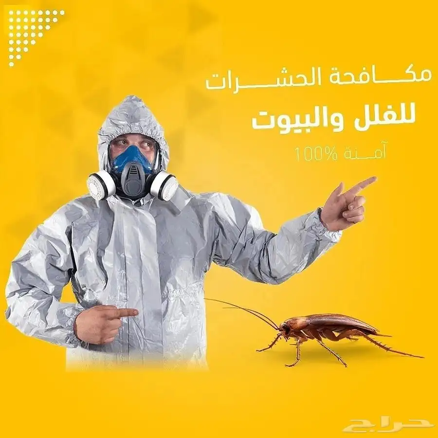 شركة رش حشرات مكافحة حشرات رش مبيدات رش صراصير بق نمل 1