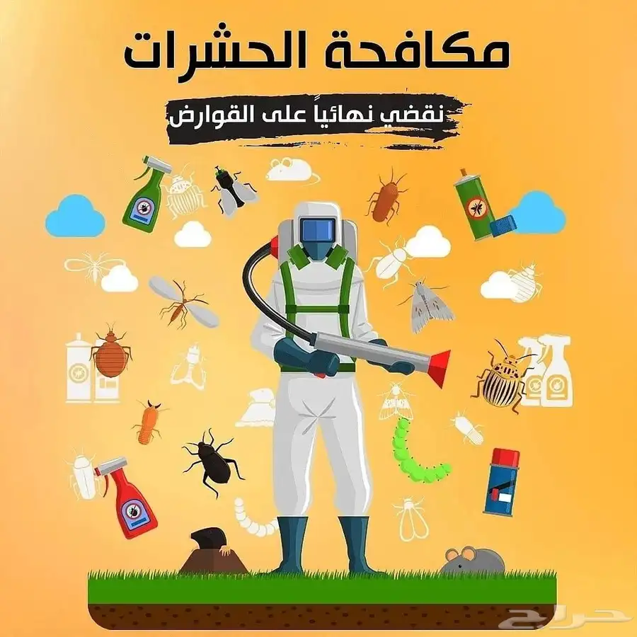 شركة رش حشرات مكافحة حشرات رش مبيدات رش صراصير بق نمل 0