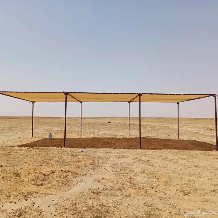 مضلات الإبل 9