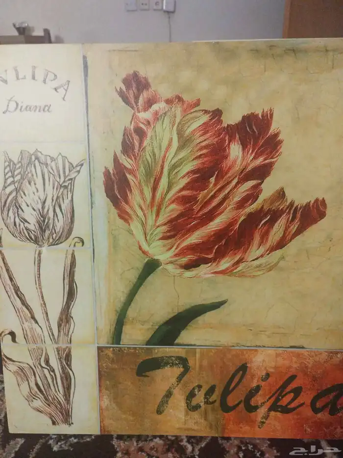 عدد 2 لوحة حائط 0