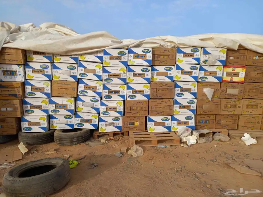 عندي 8000 كرتون موز للبيع نظيفه 0