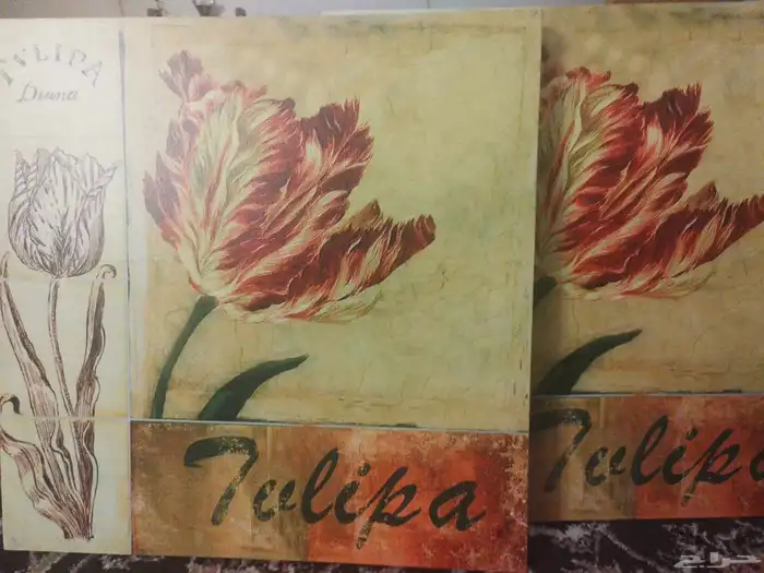 عدد 2 لوحة حائط 1