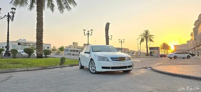 كابرس للبيع 2013 الحد 35 4