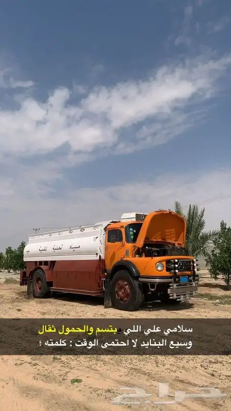 للبيع وايت عادي بوز برتقالي 3